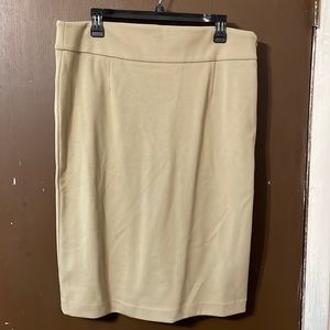 Premise skirt